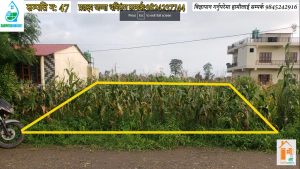 Read more about the article चितवन टांडी जयमंगलामा सस्तो घडेरी बिक्रीमा