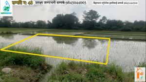 Read more about the article पस्चिम चितवन चोकबजार नजिकै घडेरी बिक्रीमा