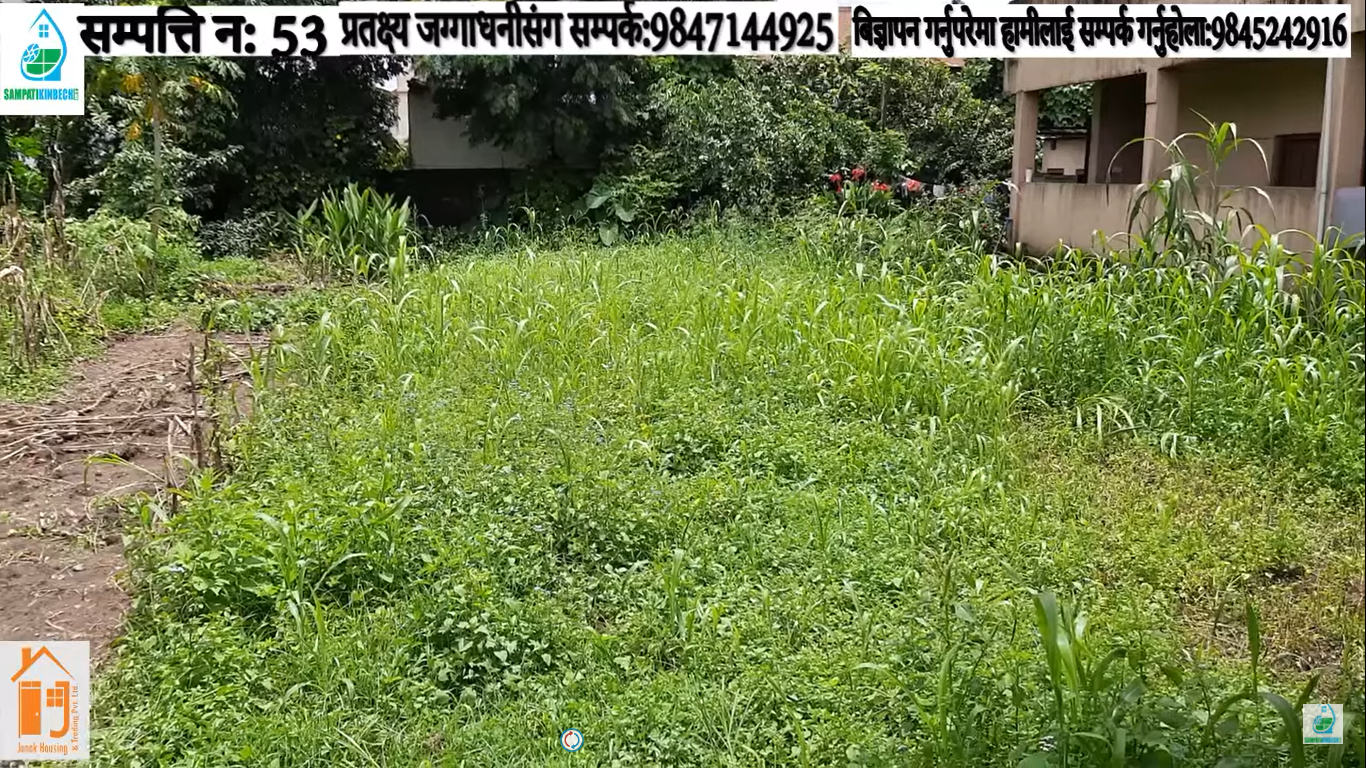 Read more about the article गैंडाकोट-5ओमशान्ति टोलमा घडेरी बिक्रीमा