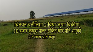 Read more about the article सम्पति:102 पस्चिम चितवन चनौलीमा 2 बिघा जग्गा बिक्रीमा