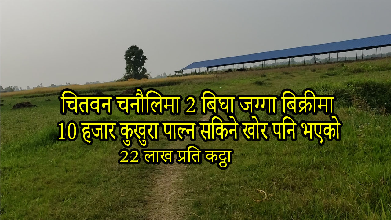 You are currently viewing सम्पति:102 पस्चिम चितवन चनौलीमा 2 बिघा जग्गा बिक्रीमा