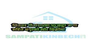 Read more about the article चितवन गीतानगर नजिकै १० कट्ठामा फैलिएको बंगुर फार्म बिक्रीमा
